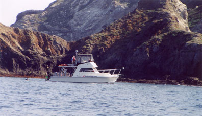 Seal Cove in Middle Grounds at Los Coronados